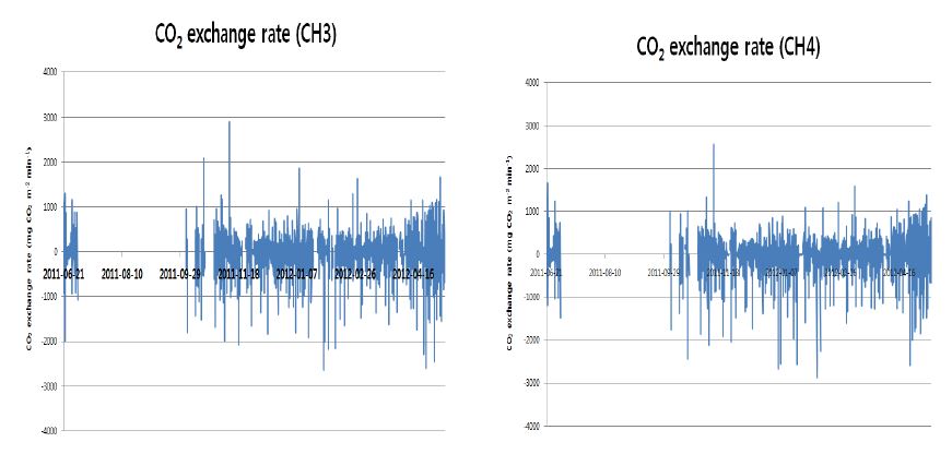 그림2-8. IRG를 식재한 처리구의 이산화탄소 이출입