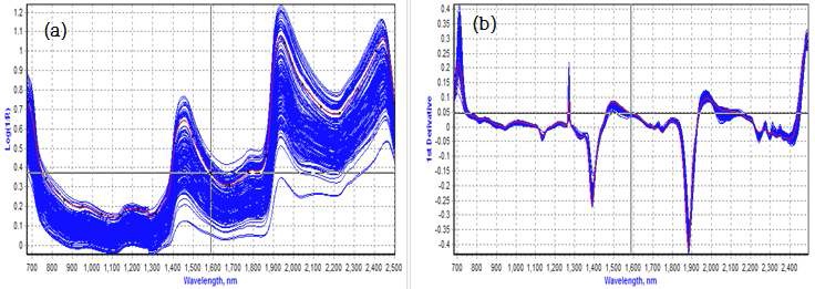 그림 2. 이탈리안 라이그라스 사일리지의 원물(생)시료의 NIR 원시 스펙트럼(a)과 1차 미분처리 스펙트럼(b)