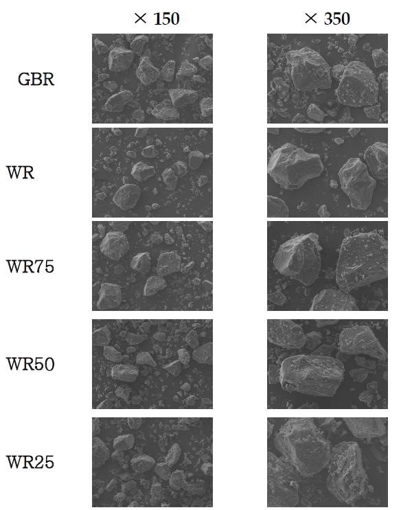 Scanning electron microphotographs of extruded rice flours with different mixing ratio of germinated brown rice and white rice (×150, ×350).