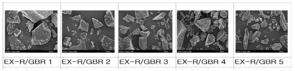 SEM images of EX-R/GBR flours.