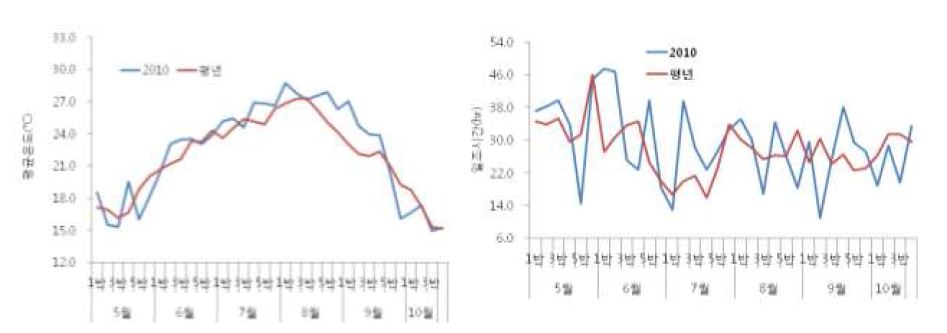 그림 14. 레스베라트롤 벼 생육기간 평균온도 및 일조시간