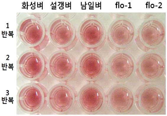 그림 1-5. 상용키트를 이용한 손상전분함량 측정과정