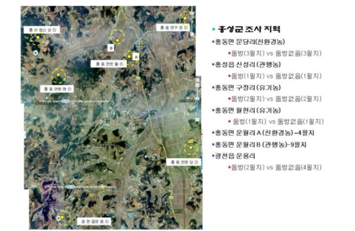 충남 홍성군 홍동면, 홍성읍, 광천읍 일대 조사 지역 위치도