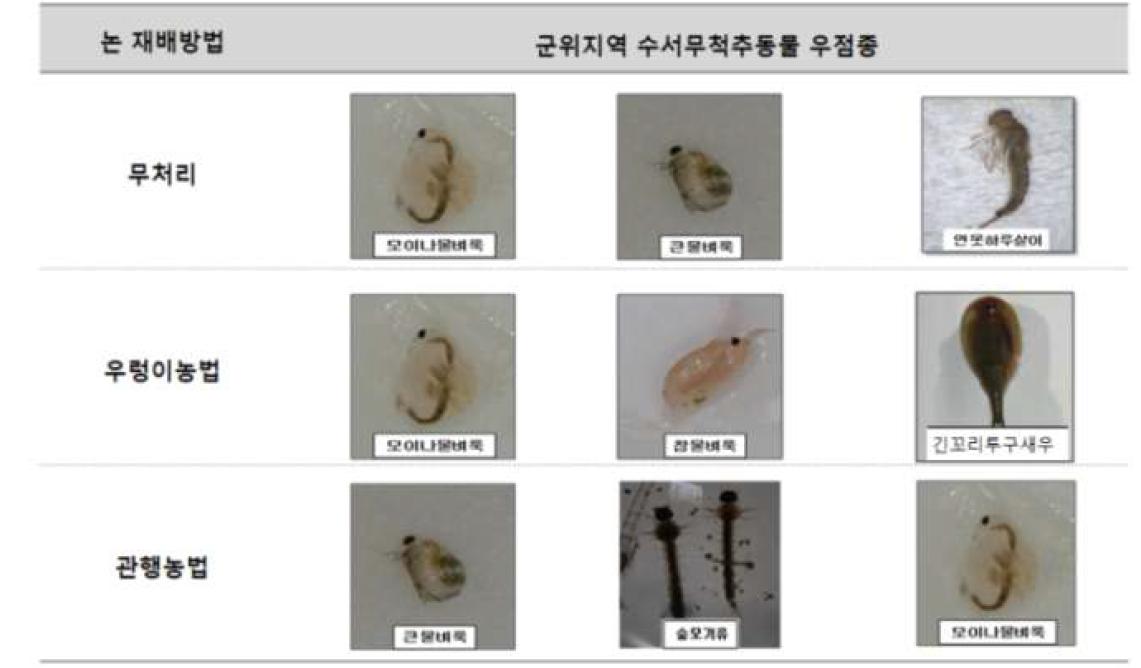 군위지역 논 재배양식별 수서무척추 동물 우점종