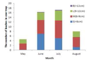 예산군 광시면 대리 실험논의 미꾸리류의 크기에 따른 개체수 월별 변동(2011년)