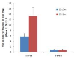 실험논(A)과 대조논(B)의 2010년과 2011년 미꾸리류 개체수 비교