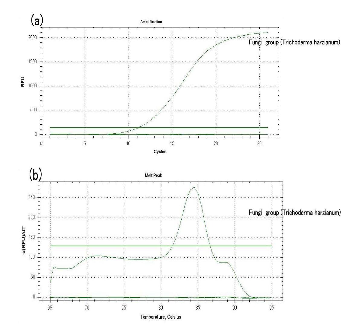 곰팡이 군집분석을 위한 Real-time PCR 조건 확인 (primer 5.8S and primer ITS1f)