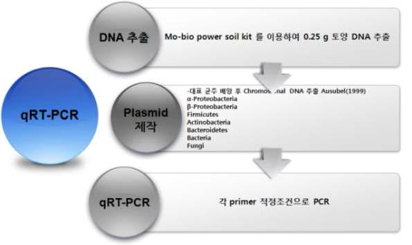 논토양 미생물의 군집 분류 및 개체수 측정을 위한 real-time PCR 수행 과정