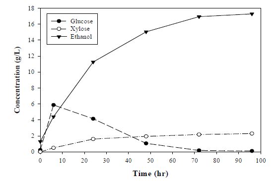 그림 2-11 α-Cellulose(대조군)의 발효시간에 따른 당소비 및 에탄올 생산농도