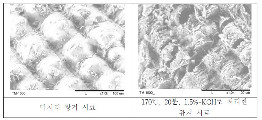 그림 2-15 왕겨 전처리물의 표면 분석 비교