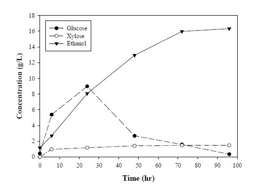 그림 2-20 전처리물의 발효시간에 따른 당소비 및 에탄올 생산농도