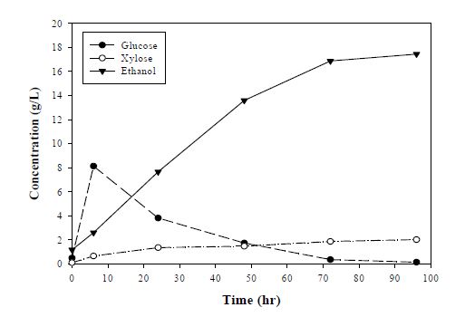 그림 2-21 α-Cellulose(대조군)의 발효시간에 따른 당소비 및 에탄올 생산농도