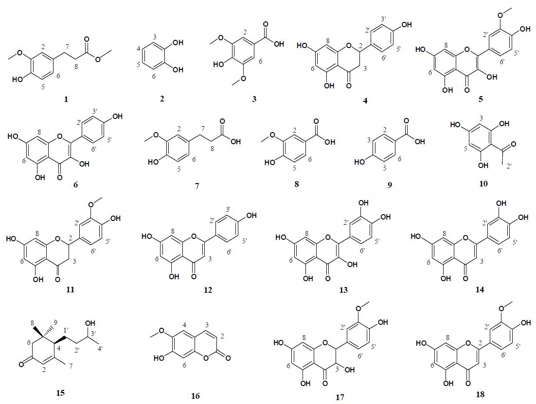 The structure of compounds isolated from the juice powder of Suaeda japononica.