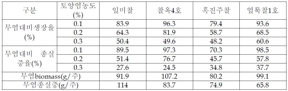 옥수수 품종들의 염농도별 생장정도