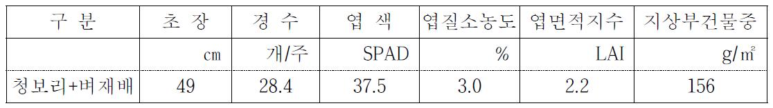 벼 이앙재배 최고분얼기 생육(‘12)