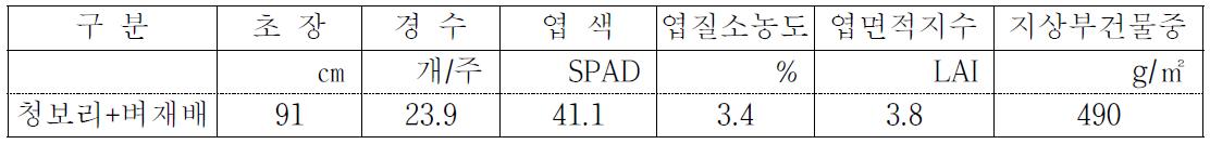 벼 이앙재배 유수형성기 생육(‘12)