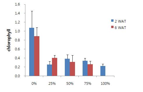 바닷물 희석 비율에 따른 엽록소 함량