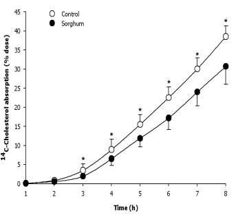 Total lymphatic absorption of 14C-cholesterol for 8 hours. Values are expressed as means ± SD, n=5. Asterisks (*) denote significant differences at p < 0.05.