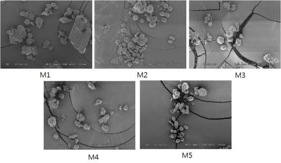 The microstructure (×500) of the sorghum powder pulverized at different rates (Sorghum bicolor L. Moench cv. Miryang 3).