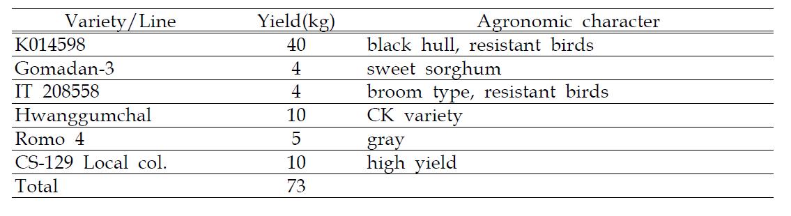 The yield and agronomic character of sorghum in 2010.