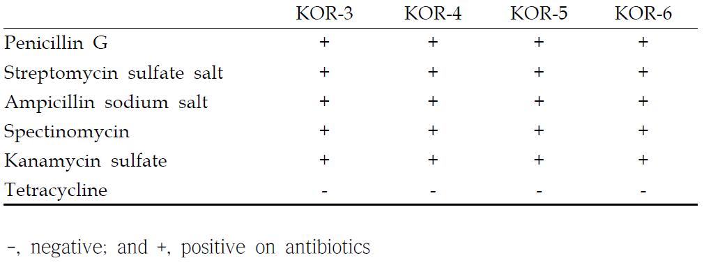 Effects of different antibiotics on growth responses of newly isolated strains of Methanosarcina mazei KOR-3, -4, -5 and -6 for 10 days incubation at 38℃.