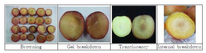 그림 5. 저온저장시 자두에 발생하는 저온장해과 양상