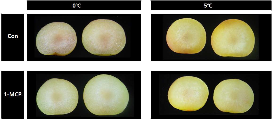 그림 17. 저장 온도별 자두 과실의 내부 품질 비교 (0℃, 5℃)