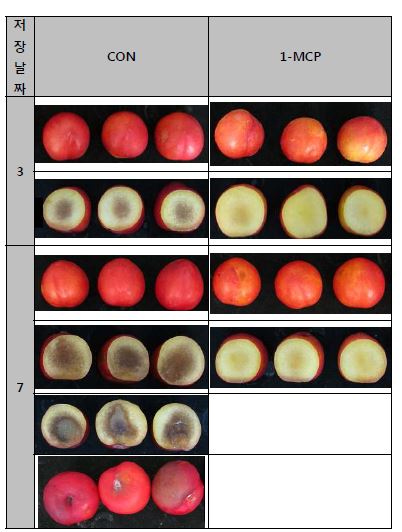 그림 34. 저온저장(5℃) 후 상온(20℃) 유통 시뮬레이션 자두 과실의 내외부 품질 비교