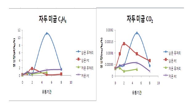 그림 43. 자두 미금 상온 및 저온 저장중 C₂H₄와 CO₂발생량 변화
