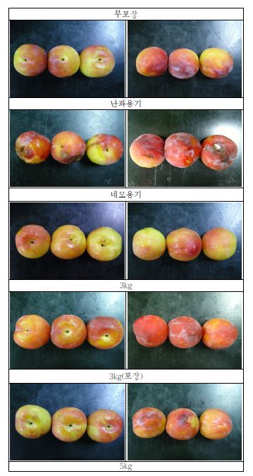 그림 93. 자두 상온저장 5일 후 포장 용기 및 단위별 부패 상태
