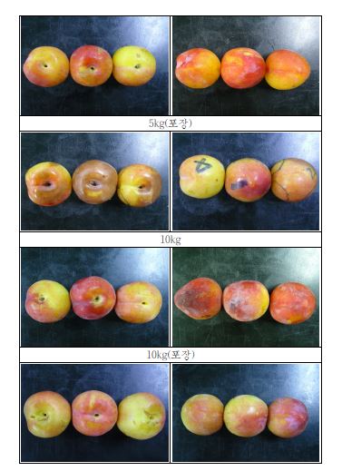 그림 93. 자두 상온저장 5일 후 포장 용기 및 단위별 부패 상태