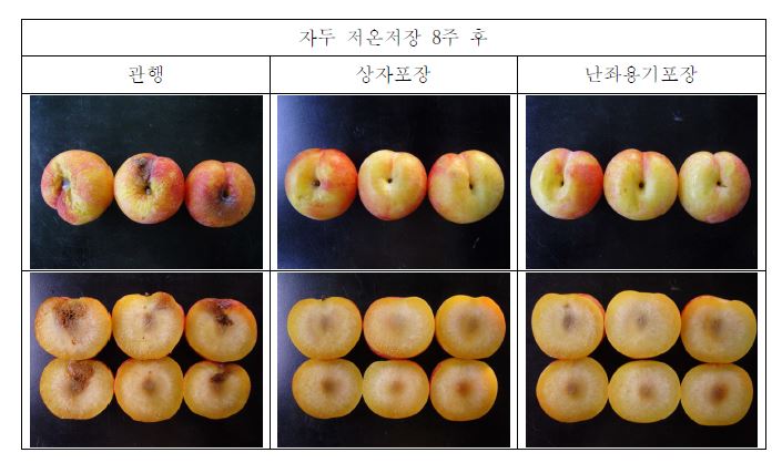 그림 105. 자두 추희 소포장재 시험 저온 저장 8주 후 포장제별 양상 변화