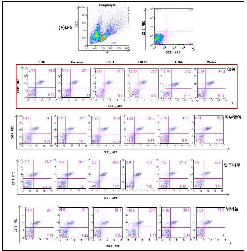 Fig. 7. Comparing the frequency of B lymphocyte surface marker phenotype by edible vegetables extract treatment