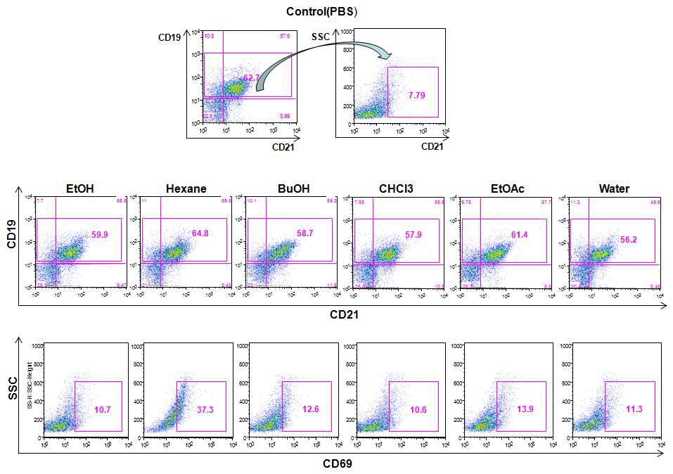 Fig. 14. Comparing the frequency of B lymphocyte surface marker phenotype by Aster scaber treatment in mice