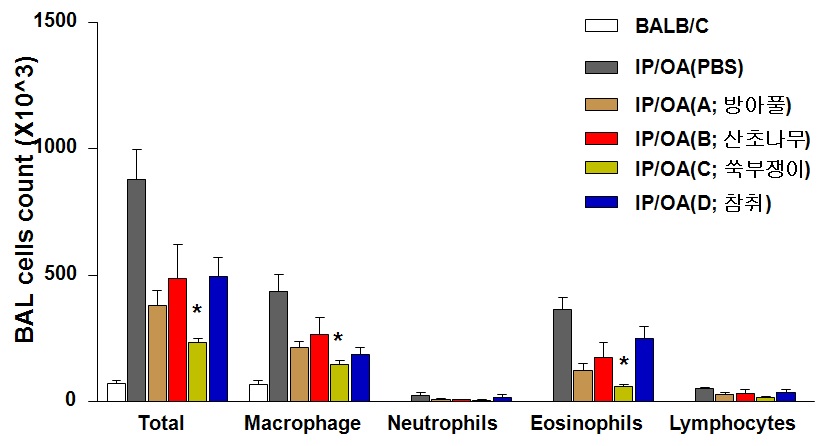 Fig. 27. Ethanol extract of Aster yomena decreases bronchoalveolar lavage (BAL) cells.