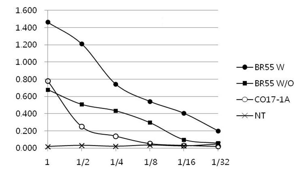 Fig. 106. mAb BR55을 ELISA 실험을 통해 얻은 결과