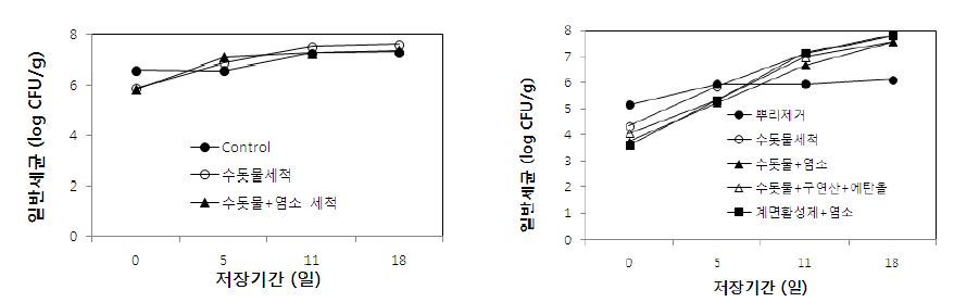 그림 23. 시금치 다발(좌) 및 시금치 잎(우) 세척방법별 저장(5℃) 중 일반세균