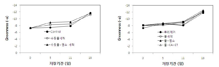 그림 24. 시금치 다발(좌) 및 시금치 잎(우) 세척방법별 저장(5℃) 중 녹색도