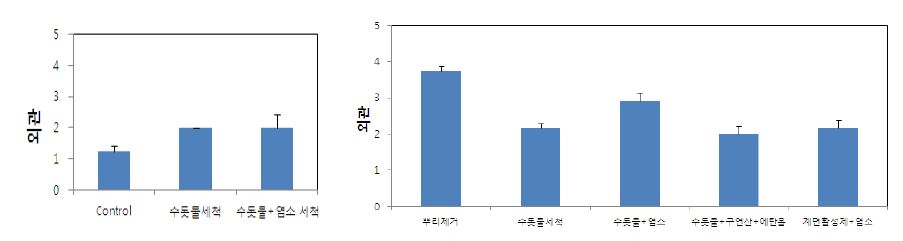 그림 25. 시금치 다발(좌) 및 시금치 잎(우) 세척방법별 저장(5℃) 중 외관