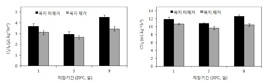 그림 3-3. 대추방울토마토 꼭지 제거에 따른 에틸렌생성량 및 호흡량