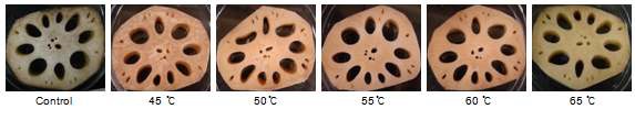 Fig. 7. Changes of appearance by different washing temperature on fresh-cut lotus roots at roon temperature after 48 h.