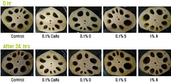 Fig. 13. Changes of appearance by various antibrowning agents of fresh-cut lotus root at room temperature (CaAs: calcium ascorbate, O: orange peel extract, S: Salvia miltiorrhiza Bunge, A: Atractylodes japonica Koidzumi).