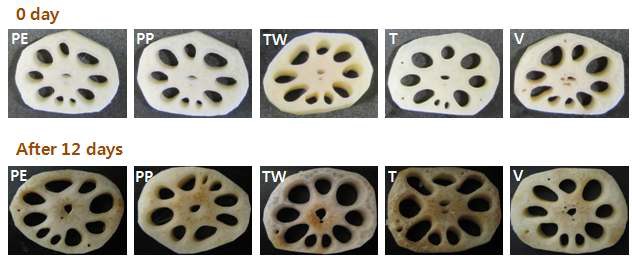 Fig. 16. Changes of appearance value of fresh-cut lotus root by different packaging types at 4℃ (PE: Polyethylene, PP: Polypropylene, TW: PET (polyethylene terephthalate) tray+wrapping, T: PET tray, V: Vacuum).