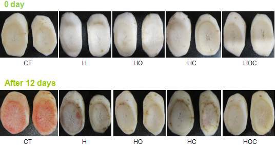 Fig. 28. Changes in the appearance of fresh-cut lotus root by heat treatment and various browning inhibitors at 4°C