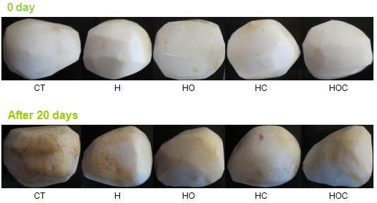 Fig. 31. Changes in the appearance of fresh-cut taro by heat treatment and various browning inhibitors at 4°C (H: heat treatment, HO: heat treatment + orange peel extract, HC: heat treatment + calcium ascorbate, HOC: heat treatment + orange peel extract + calcium ascorbate).