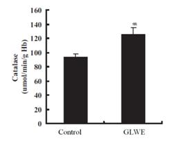 Catalase 활성 증가