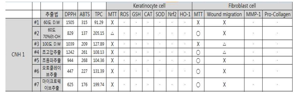 산화 스트레스에 대한 CNH 1-#1~7의 피부각질형성세포보호 효과