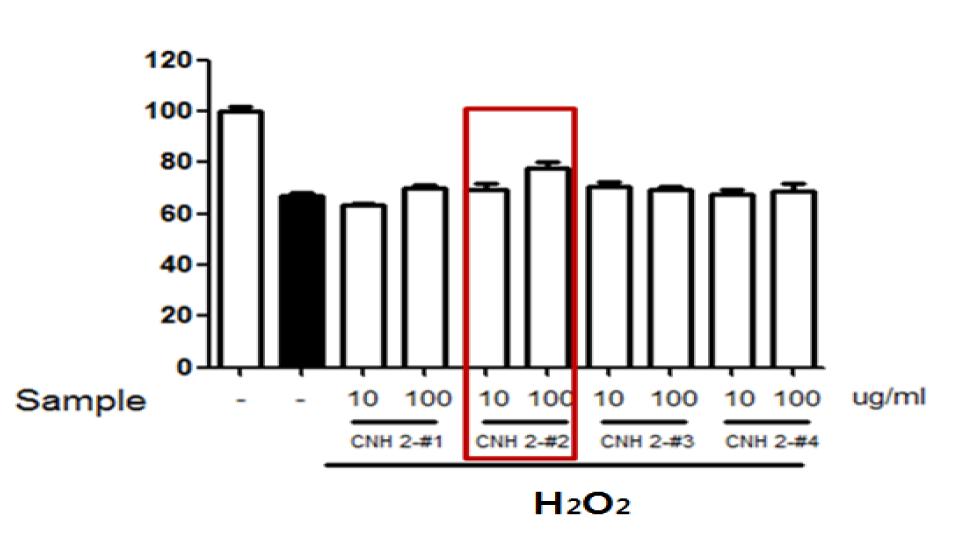산화 스트레스에 대한 CNH 2-#1~4의 피부각질형성세포보호 효과