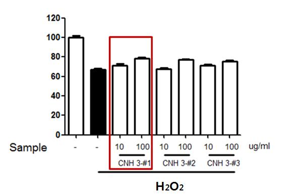 산화 스트레스에 대한 CNH 3-#1~3의 피부각질형성세포보호 효과
