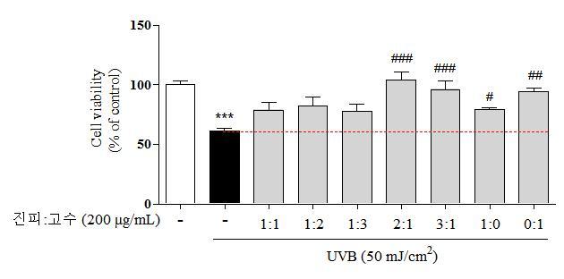 UVB 스트레스를 이용한 모델에서도 진피 추출물이 효과